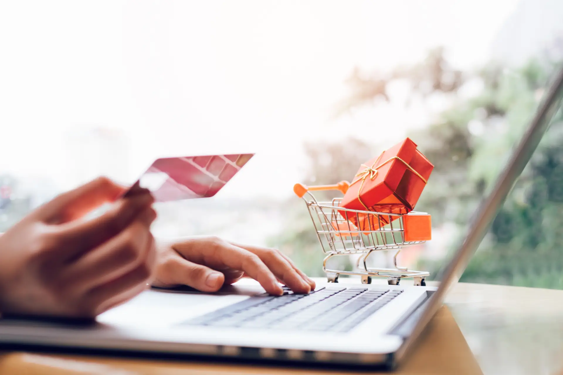 Contabilitate Magazin Online ecommerce LIN Premium Conta